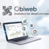 Obiweb Statistics for Woocommerce