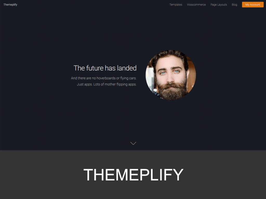 Thème WordPress Themplify - Pour photographes